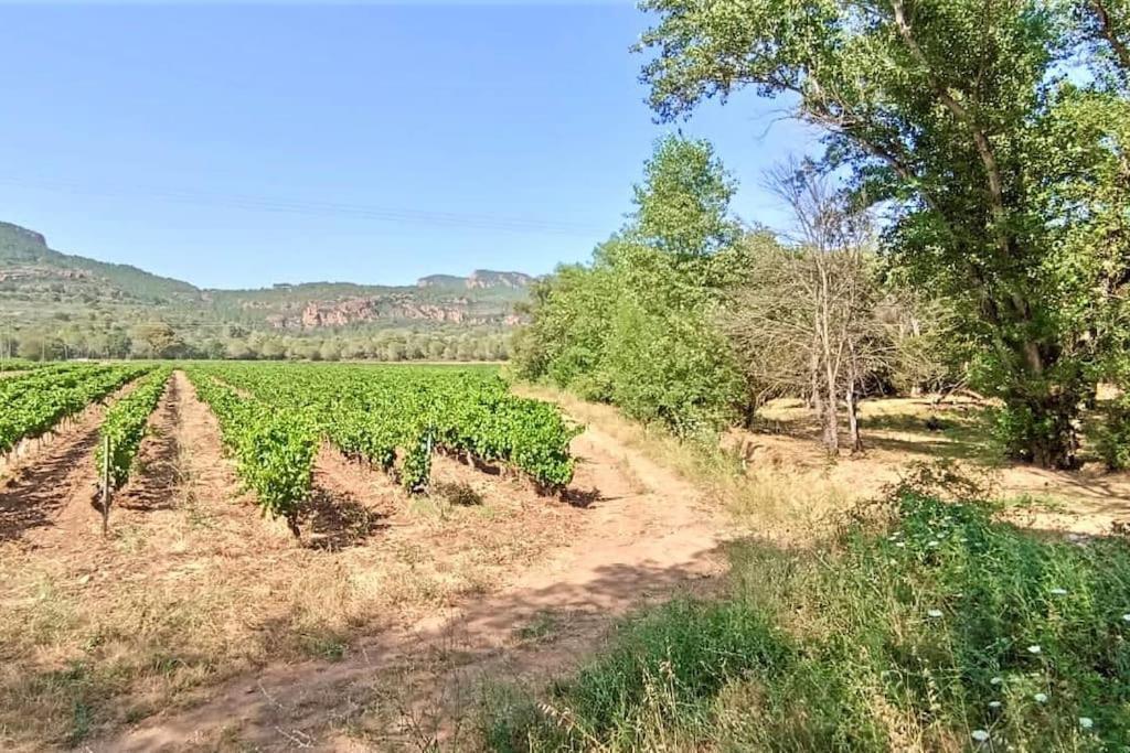 Superbe Cadre Campagne Villa Roquebrune-sur Argens
